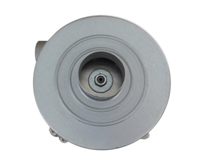 Pompa Vuoto ad Alta Portata serie QS - 45080209