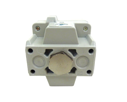 Régulateur de pression série GS 0-30 PSI - P7080-A